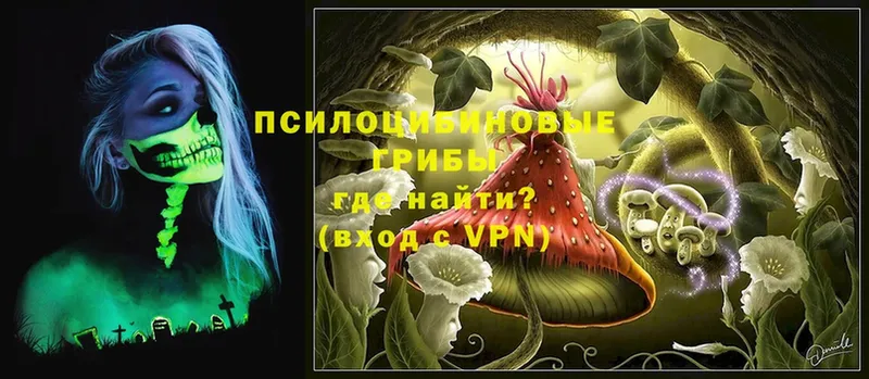 Галлюциногенные грибы MAGIC MUSHROOMS  где найти наркотики  МЕГА маркетплейс  Алагир 