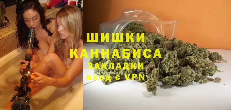 закладки  МЕГА как зайти  Шишки марихуана конопля  Алагир 